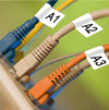 What Are the Differences Between Direct Thermal and Thermal Transfer? - Phomemo