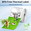 Phomemo Thermal Direct 4"x6" Shipping Label (Roll of 500 Labels) - Phomemo